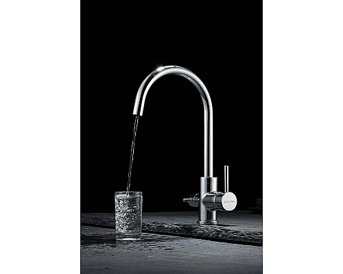 Купить Смеситель для кухни Paulmark Essen Es213211-CR Хром в магазине сантехники Santeh-Crystal.ru