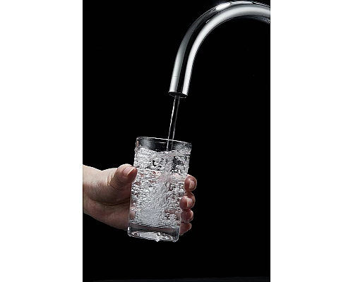 Купить Смеситель для кухни Paulmark Essen Es213211-CR Хром в магазине сантехники Santeh-Crystal.ru