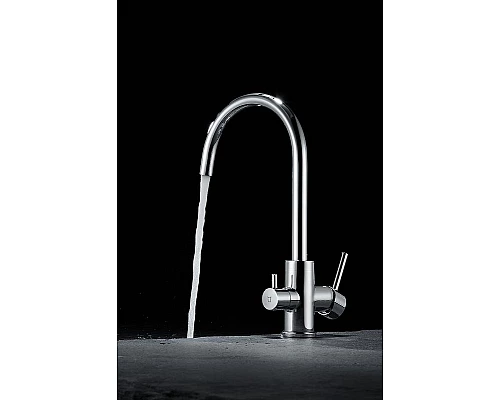 Купить Смеситель для кухни Paulmark Essen Es213211-CR Хром в магазине сантехники Santeh-Crystal.ru