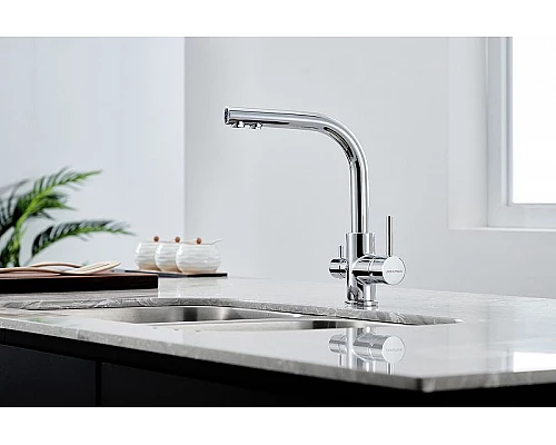 Купить Смеситель для кухни Paulmark Essen Es213011-CR Хром в магазине сантехники Santeh-Crystal.ru