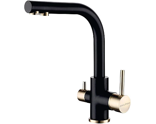Приобрести Смеситель для кухни Paulmark Essen Es213011-401BR Антрацит Бронза в магазине сантехники Santeh-Crystal.ru
