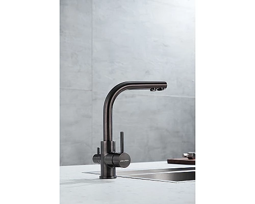 Приобрести Смеситель для кухни Paulmark Essen Es213011-GM Вороненая сталь в магазине сантехники Santeh-Crystal.ru