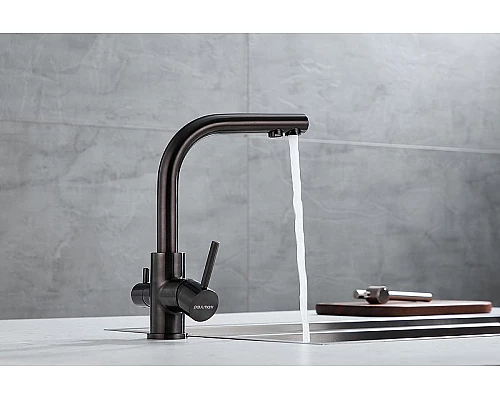 Приобрести Смеситель для кухни Paulmark Essen Es213011-GM Вороненая сталь в магазине сантехники Santeh-Crystal.ru