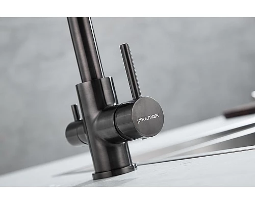 Приобрести Смеситель для кухни Paulmark Essen Es213011-GM Вороненая сталь в магазине сантехники Santeh-Crystal.ru