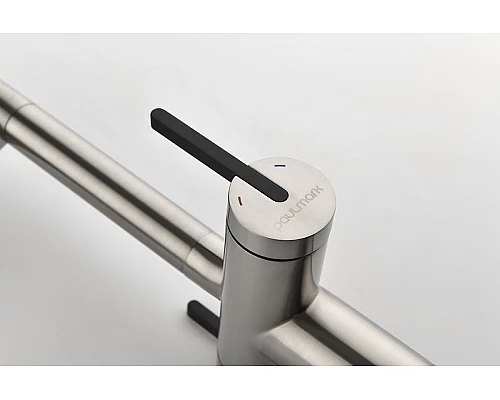 Заказать Смеситель для кухни Paulmark Gravity Gr213188-NI Никель Черный в магазине сантехники Santeh-Crystal.ru