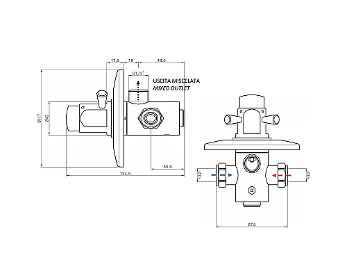 Приобрести Смеситель для душа Remer Tempor TE30M Хром в магазине сантехники Santeh-Crystal.ru