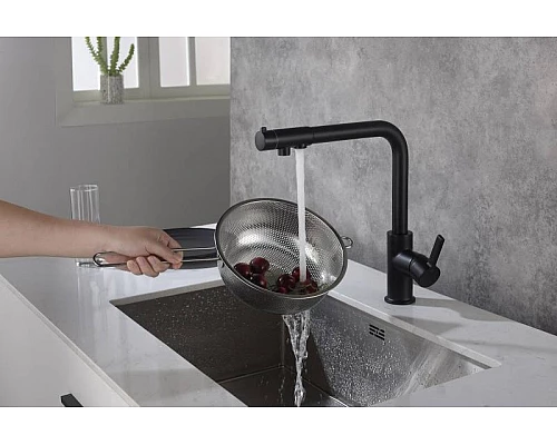 Приобрести Смеситель для кухни Timo Hette 1026/03F Черный в магазине сантехники Santeh-Crystal.ru