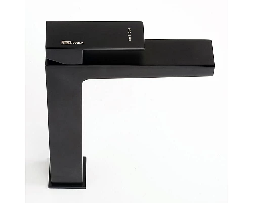 Заказать Смеситель для раковины WasserKRAFT Abens 2003H Черный матовый в магазине сантехники Santeh-Crystal.ru