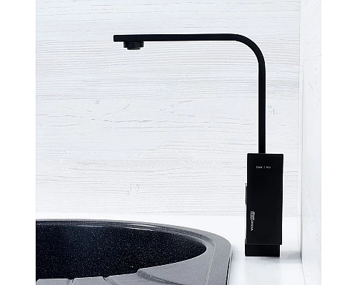 Приобрести Смеситель для кухни WasserKRAFT Abens 2007 Чёрный матовый в магазине сантехники Santeh-Crystal.ru