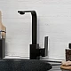 Приобрести Смеситель для кухни WasserKRAFT Abens 2007 Чёрный матовый в магазине сантехники Santeh-Crystal.ru