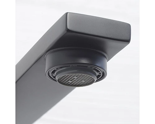 Приобрести Смеситель для кухни WasserKRAFT Abens 2007 Чёрный матовый в магазине сантехники Santeh-Crystal.ru