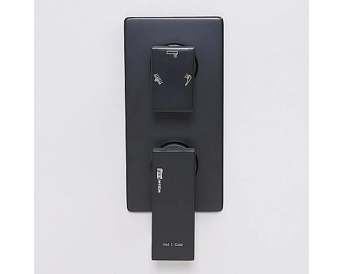 Купить Смеситель для душа WasserKRAFT Abens 2071 Чёрный матовый в магазине сантехники Santeh-Crystal.ru