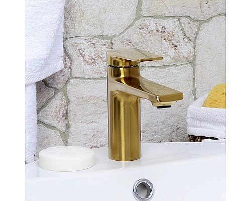 Приобрести Смеситель для раковины WasserKRAFT Aisch 5503 Золото матовое в магазине сантехники Santeh-Crystal.ru