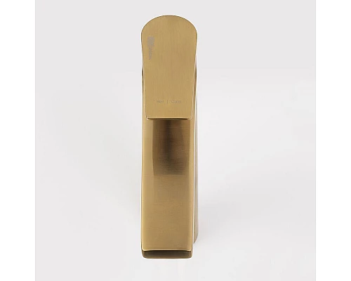 Заказать Смеситель для раковины WasserKRAFT Aisch 5503H Золото матовое в магазине сантехники Santeh-Crystal.ru