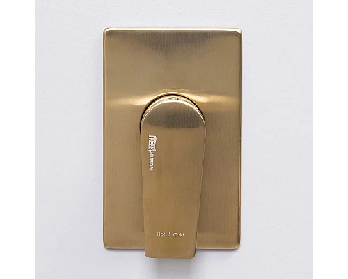 Приобрести Смеситель для душа WasserKRAFT Aisch 5551 Золото матовое в магазине сантехники Santeh-Crystal.ru