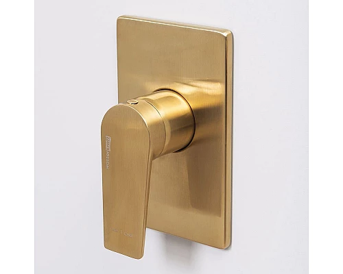 Приобрести Смеситель для душа WasserKRAFT Aisch 5551 Золото матовое в магазине сантехники Santeh-Crystal.ru