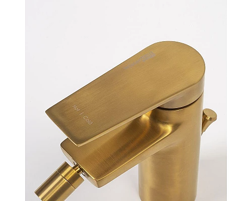 Купить Смеситель для биде WasserKRAFT Aisch 5506 Золото матовое в магазине сантехники Santeh-Crystal.ru