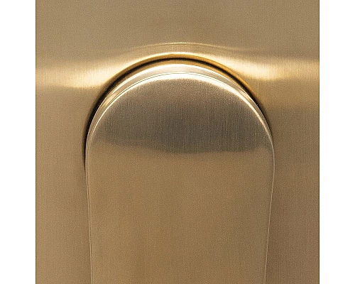 Купить Смеситель для душа WasserKRAFT Aisch 5571 Золото матовое в магазине сантехники Santeh-Crystal.ru