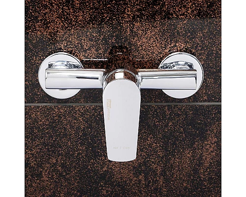 Приобрести Смеситель для душа WasserKRAFT Dill 6102 Хром в магазине сантехники Santeh-Crystal.ru