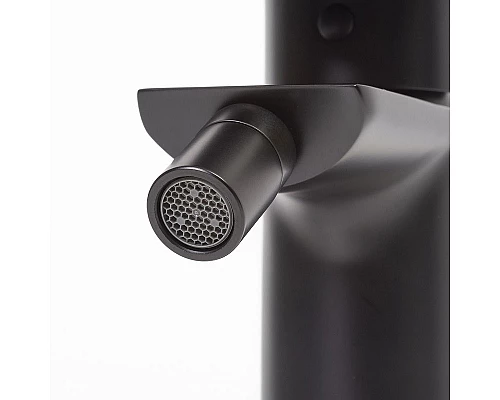 Заказать Смеситель для биде WasserKRAFT Elbe 7406 Черный матовый в магазине сантехники Santeh-Crystal.ru