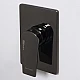 Приобрести Смеситель для душа WasserKRAFT Glan 6651 Черный глянцевый в магазине сантехники Santeh-Crystal.ru