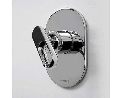 Купить Смеситель для душа WasserKRAFT Kammel 1851 Хром в магазине сантехники Santeh-Crystal.ru