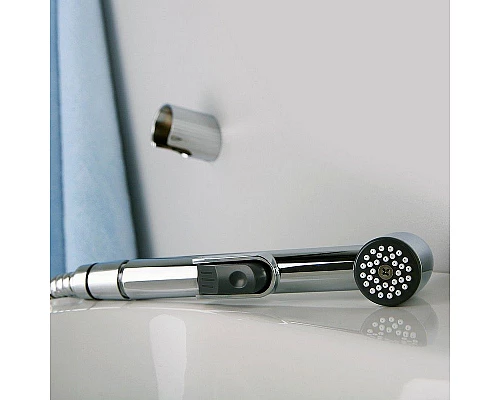 Приобрести Смеситель для раковины WasserKRAFT Main 4108 с гигиеническим душем Хром в магазине сантехники Santeh-Crystal.ru