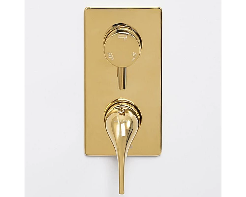 Заказать Смеситель для душа WasserKRAFT Sauer 7171 Золото в магазине сантехники Santeh-Crystal.ru