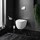 Заказать Комплект унитаза с инсталляцией AM.PM Awe IS49051.111738 с сиденьем Микролифт и клавишей смыва Хром в магазине сантехники Santeh-Crystal.ru