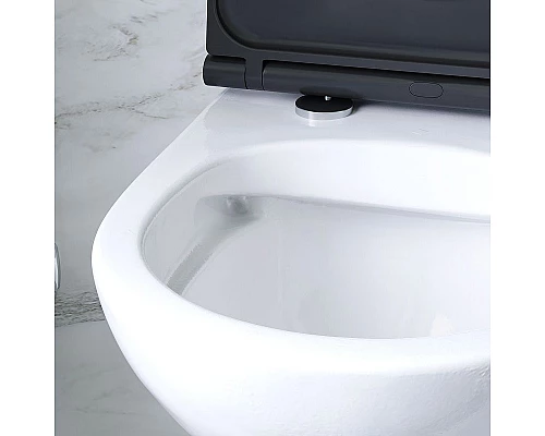 Заказать Унитаз AM.PM Gem C901700SCmb подвесной с сиденьем Микролифт в магазине сантехники Santeh-Crystal.ru