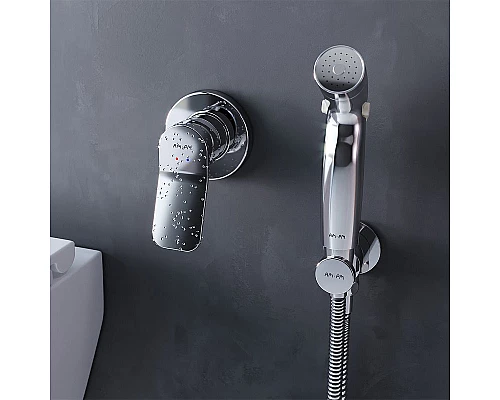 Купить Комплект унитаза с инсталляцией AM.PM Inspire 2.0 CK50GD с сиденьем Микролифт с клавишей смыва Хром с гигиеническим душем и аксессуарами для ванной к в магазине сантехники Santeh-Crystal.ru