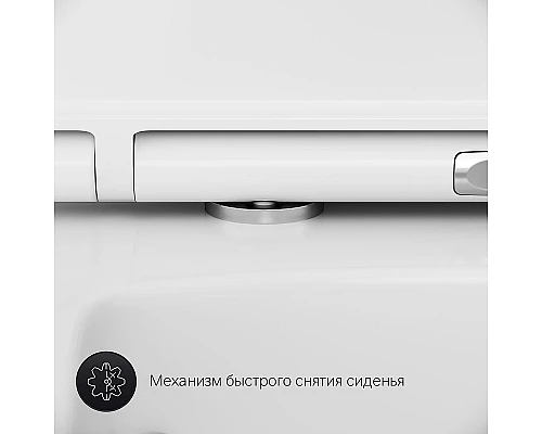 Купить Комплект унитаза с инсталляцией AM.PM Inspire 2.0 CK50GD с сиденьем Микролифт с клавишей смыва Хром с гигиеническим душем и аксессуарами для ванной к в магазине сантехники Santeh-Crystal.ru