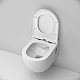 Заказать Комплект унитаза с инсталляцией AM.PM Like FlashClean IS30201.801701 с сиденьем Микролифт и Белой клавишей смыва в магазине сантехники Santeh-Crystal.ru