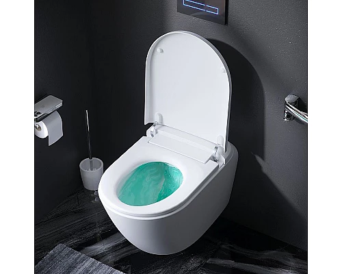 Приобрести Унитаз-биде AM.PM Sensation CCC301700SC подвесной с сиденьем Микролифт в магазине сантехники Santeh-Crystal.ru