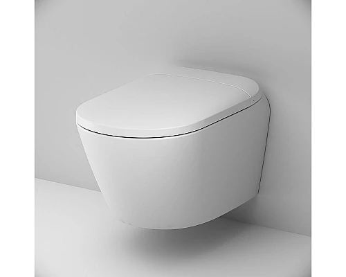 Приобрести Унитаз-биде AM.PM Sensation CCC301700SC подвесной с сиденьем Микролифт в магазине сантехники Santeh-Crystal.ru