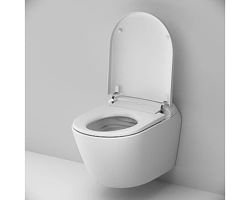 Приобрести Унитаз-биде AM.PM Sensation CCC301700SC подвесной с сиденьем Микролифт в магазине сантехники Santeh-Crystal.ru