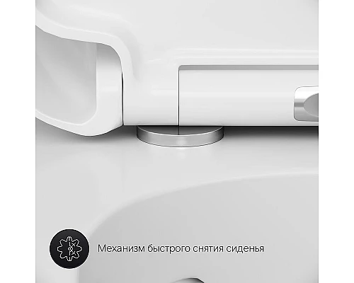 Купить Унитаз AM.PM Sensation C301700WH подвесной без сиденья в магазине сантехники Santeh-Crystal.ru