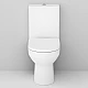 Купить Комплект унитаза компакт AM.PM Spirit CK70DC с бачком с сиденьем Микролифт и аксессуарами для ванной комнаты в магазине сантехники Santeh-Crystal.ru