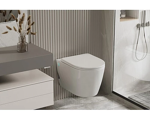 Заказать Унитаз Abber Bequem AC1106P подвесной с сиденьем Микролифт в магазине сантехники Santeh-Crystal.ru