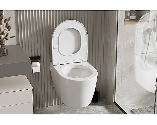 Заказать Унитаз Abber Bequem AC1106P подвесной с сиденьем Микролифт в магазине сантехники Santeh-Crystal.ru