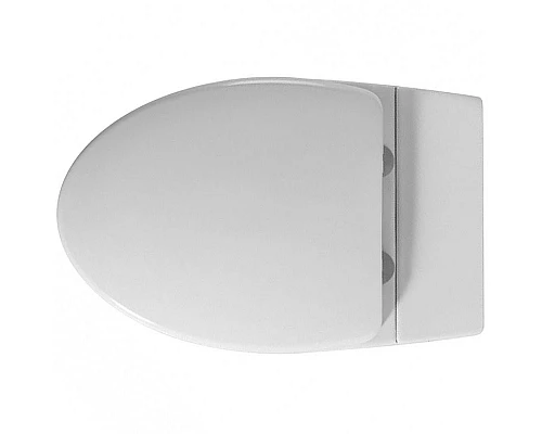 Приобрести Унитаз Abber Bequem AC1107P подвесной с сиденьем Микролифт в магазине сантехники Santeh-Crystal.ru