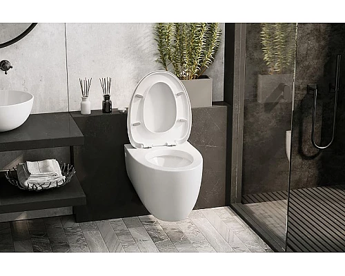 Приобрести Унитаз Abber Bequem AC1107P подвесной с сиденьем Микролифт в магазине сантехники Santeh-Crystal.ru