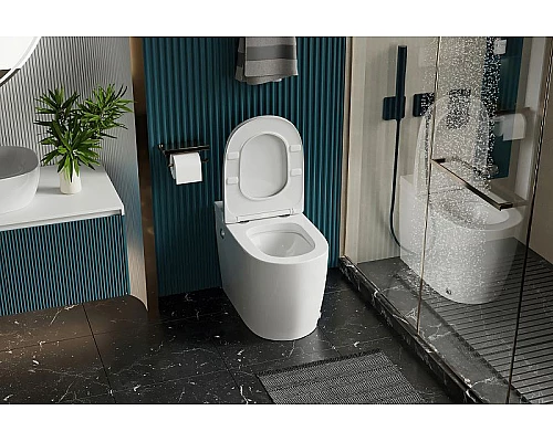 Купить Унитаз Abber Bequem AC1114P приставной с сиденьем Микролифт в магазине сантехники Santeh-Crystal.ru