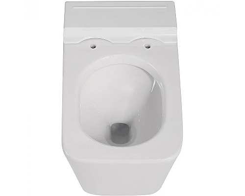 Заказать Унитаз Abber Rechteck AC1202P подвесной с сиденьем Микролифт в магазине сантехники Santeh-Crystal.ru