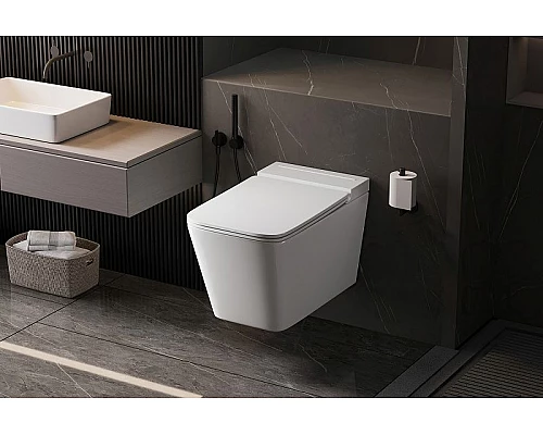 Заказать Унитаз Abber Rechteck AC1202P подвесной с сиденьем Микролифт в магазине сантехники Santeh-Crystal.ru