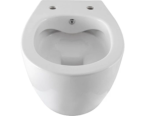 Заказать Унитаз биде Allen Brau Fantasy 4.11HC1.20 подвесной Белый без сиденья в магазине сантехники Santeh-Crystal.ru