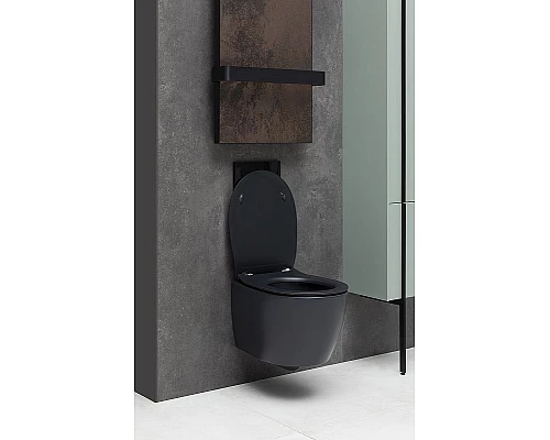 Приобрести Унитаз Allen Brau Fantasy 4.11004.31 подвесной Черный матовый без сиденья в магазине сантехники Santeh-Crystal.ru