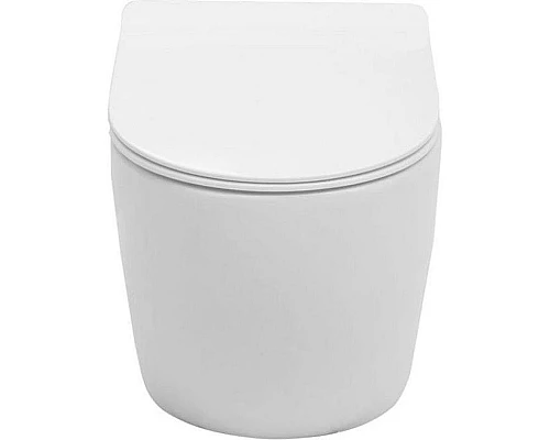 Купить Унитаз Aquanet Cetus-W BL-104N-WHT 211908 подвесной с сиденьем Микролифт в магазине сантехники Santeh-Crystal.ru