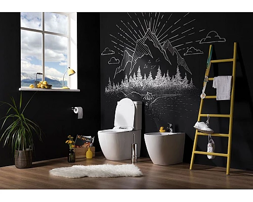 Купить Чаша унитаза-компакта Aquanet Cetus C1 Rimless 00203342 без бачка, с сиденьем Микролифт в магазине сантехники Santeh-Crystal.ru