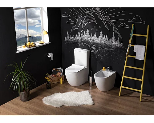 Купить Чаша унитаза-компакта Aquanet Cetus C1 Rimless 00203342 без бачка, с сиденьем Микролифт в магазине сантехники Santeh-Crystal.ru